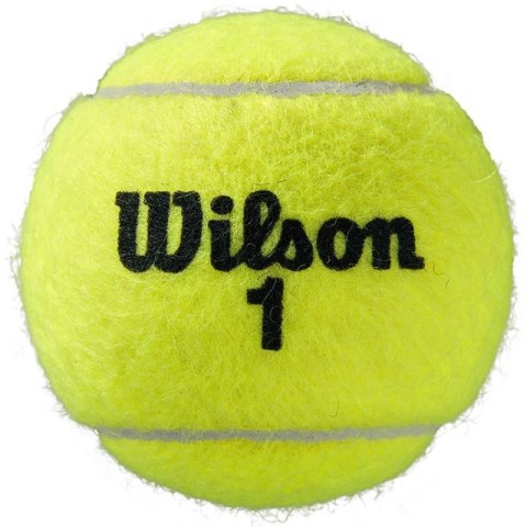 Piłki do tenisa ziemnego Wilson Roland Garros All Court 3 szt. WRT126400 N/A Piłki do tenisa ziemnego Wilson Roland Garros All Court 3 szt. WRT126400 N/A