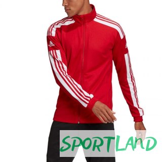 Bluza adidas Squadra 21 Training M GP6464 M