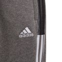 Spodnie adidas Tiro 21 Sweat Jr GP8809 152cm Spodnie adidas Tiro 21 Sweat Jr GP8809 152cm