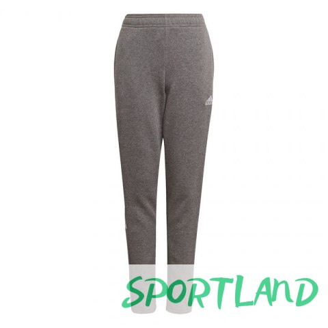 Spodnie adidas Tiro 21 Sweat Jr GP8809 164cm Spodnie adidas Tiro 21 Sweat Jr GP8809 164cm