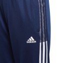 Spodnie adidas Tiro 21 Track Jr GK9666 116cm