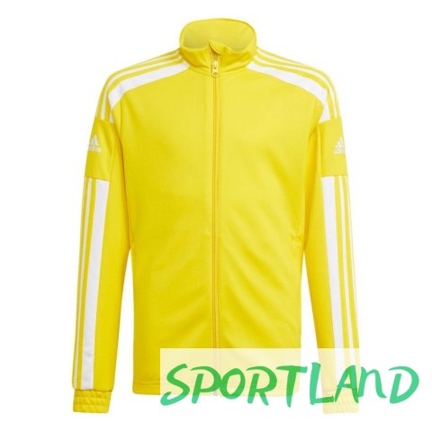 Bluza adidas Squadra 21 Training Youth Jr GP6453 152 Bluza adidas Squadra 21 Training Youth Jr GP6453 152