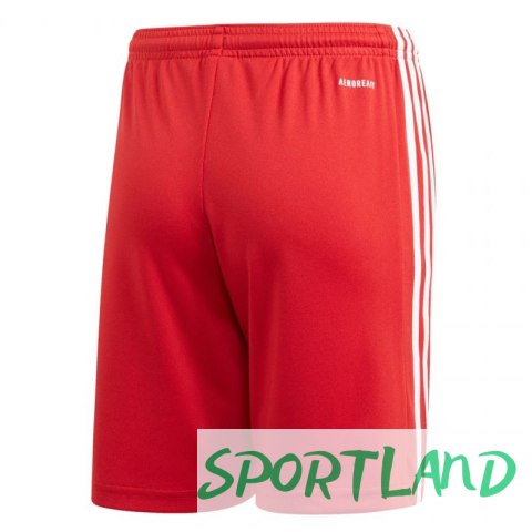 Spodenki adidas Squadra 21 Short Youth Jr GN5761 116cm Spodenki adidas Squadra 21 Short Youth Jr GN5761 116cm
