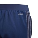 Spodnie adidas Tiro 21 Training Jr GK9659 152cm Spodnie adidas Tiro 21 Training Jr GK9659 152cm
