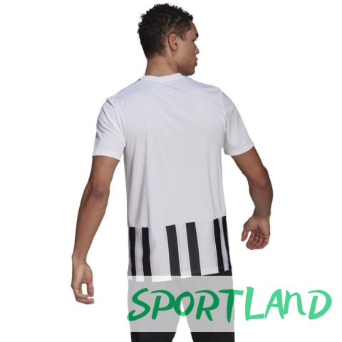 Koszulka adidas Striped 21 JSY M GV1377 S Koszulka adidas Striped 21 JSY M GV1377 S