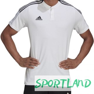 Koszulka adidas Tiro 21 Polo M GM7363 XS