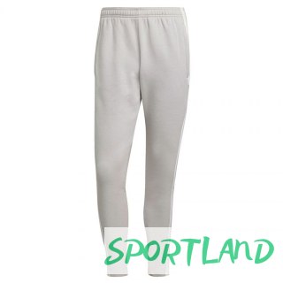 Spodnie adidas Squadra 21 Sweat Pant M GT6644 M