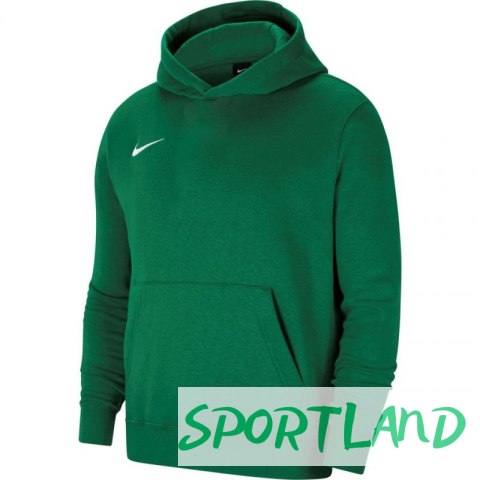 Bluza Nike Park 20 Fleece Pullover Hoodie Junior CW6896-302 XL Bluza Nike Park 20 Fleece Pullover Hoodie Junior CW6896-302 XL