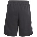 Spodenki adidas Tiro 21 Sweat Short Jr GM7343 128 cm