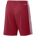 Spodenki adidas Squadra 21 Short M GN5771 XL