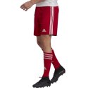 Spodenki adidas Squadra 21 Short M GN5771 XXL Spodenki adidas Squadra 21 Short M GN5771 XXL