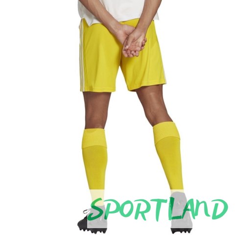 Spodenki adidas Squadra 21 Short M GN5772 XXL Spodenki adidas Squadra 21 Short M GN5772 XXL