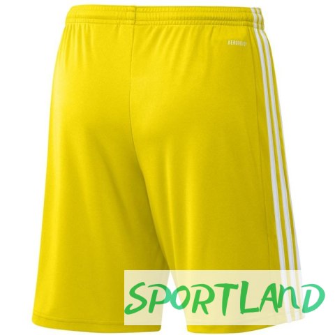Spodenki adidas Squadra 21 Short M GN5772 XXL Spodenki adidas Squadra 21 Short M GN5772 XXL