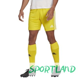 Spodenki adidas Squadra 21 Short M GN5772 M