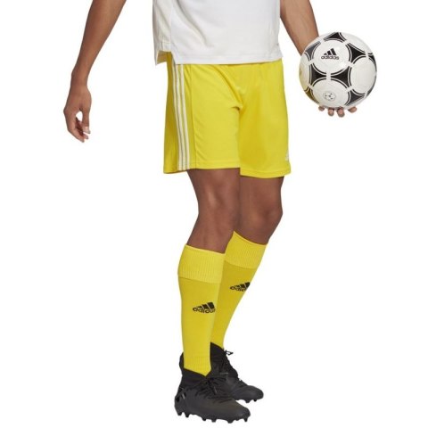 Spodenki adidas Squadra 21 Short M GN5772 M Spodenki adidas Squadra 21 Short M GN5772 M
