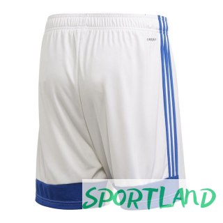 Spodenki adidas Tastigo 19 Shorts M FI6355 XXL