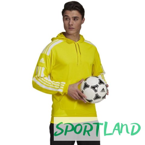 Bluza adidas Squadra 21 Hoody M GP6438 M Bluza adidas Squadra 21 Hoody M GP6438 M