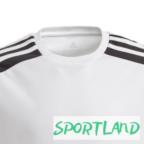 Koszulka adidas Squadra 21 JSY Y Jr GN5738 128 cm Koszulka adidas Squadra 21 JSY Y Jr GN5738 128 cm