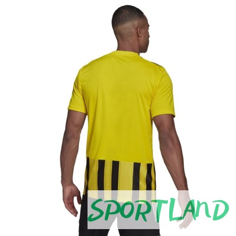 Koszulka adidas Striped 21 JSY M GV1378 L Koszulka adidas Striped 21 JSY M GV1378 L