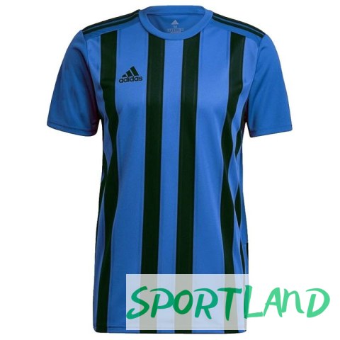 Koszulka adidas Striped 21 JSY M GV1380 XL Koszulka adidas Striped 21 JSY M GV1380 XL