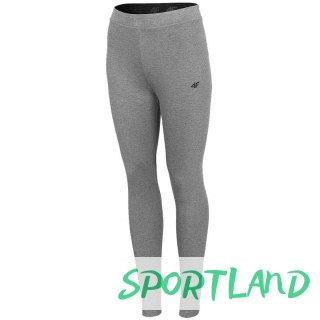 Legginsy 4F W H4L21 LEG010 24M L