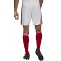 Spodenki adidas Squadra 21 Short M GN5770 XXL