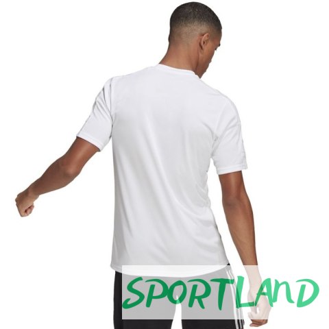 Koszulka adidas Squadra 21 JSY M GN5726 M Koszulka adidas Squadra 21 JSY M GN5726 M