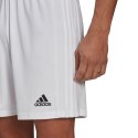 Spodenki adidas Squadra 21 Short M GN5774 XL