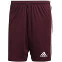 Spodenki adidas Squadra 21 Short M GN8083 XL Spodenki adidas Squadra 21 Short M GN8083 XL