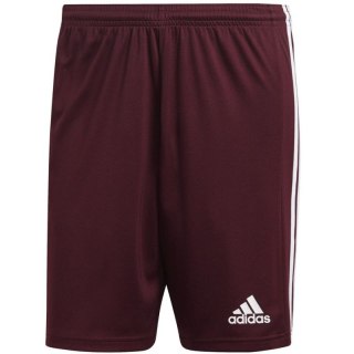Spodenki adidas Squadra 21 Short M GN8083 XXL