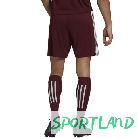 Spodenki adidas Squadra 21 Short M GN8083 XXL