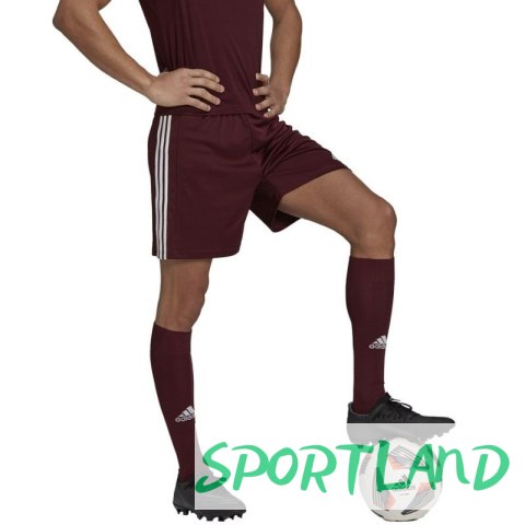 Spodenki adidas Squadra 21 Short M GN8083 XXL