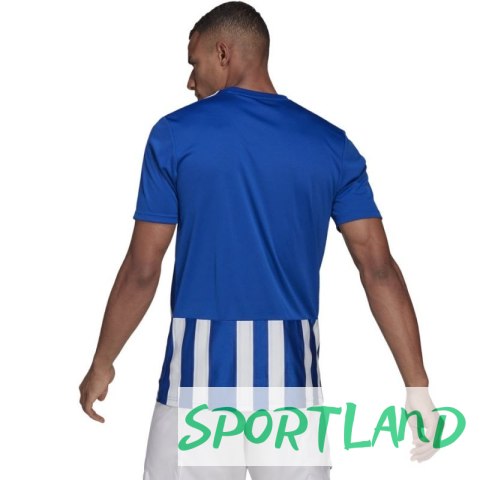Koszulka adidas Striped 21 JSY M GH7321 L Koszulka adidas Striped 21 JSY M GH7321 L