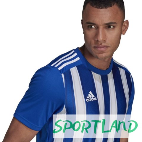 Koszulka adidas Striped 21 JSY M GH7321 L Koszulka adidas Striped 21 JSY M GH7321 L