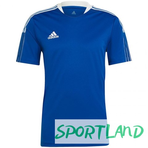 Koszulka adidas TIRO 21 TR JSY M GM7589 XL Koszulka adidas TIRO 21 TR JSY M GM7589 XL