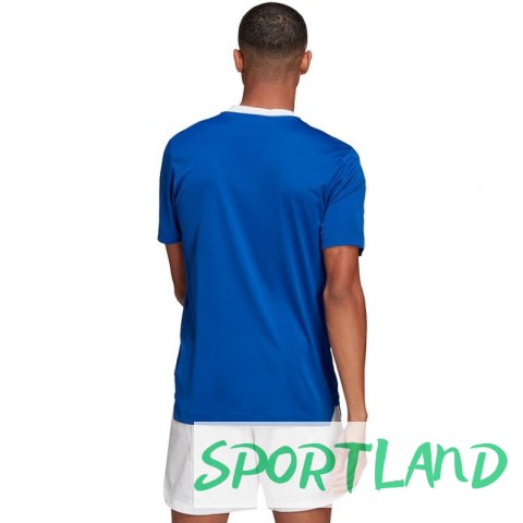 Koszulka adidas TIRO 21 TR JSY M GM7589 XL Koszulka adidas TIRO 21 TR JSY M GM7589 XL