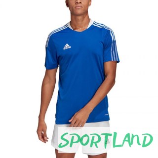 Koszulka adidas TIRO 21 TR JSY M GM7589 M
