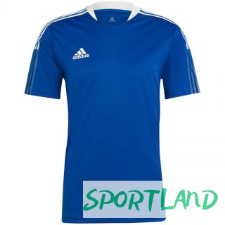 Koszulka adidas TIRO 21 TR JSY M GM7589 S