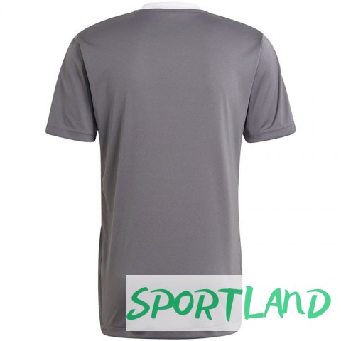 Koszulka adidas Tiro 21 Training Jersey M GM7587 S Koszulka adidas Tiro 21 Training Jersey M GM7587 S