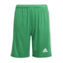 Spodenki adidas Squadra 21 Short Y Jr GN5762 140 cm Spodenki adidas Squadra 21 Short Y Jr GN5762 140 cm