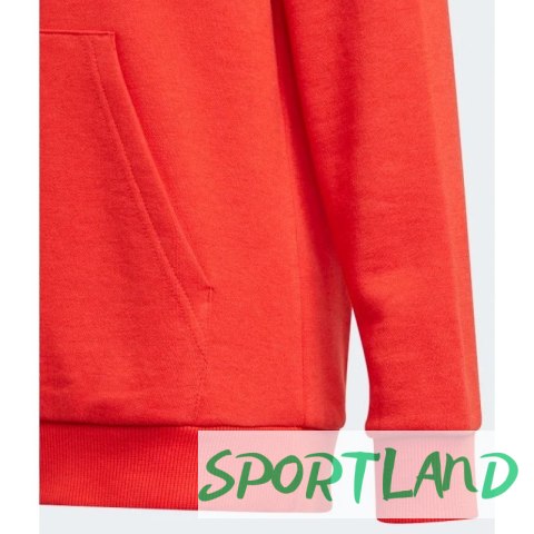 Bluza adidas Essentials Big Logo Hoodie Jr GN4037 128cm Bluza adidas Essentials Big Logo Hoodie Jr GN4037 128cm