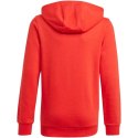 Bluza adidas Essentials Big Logo Hoodie Jr GN4037 128cm