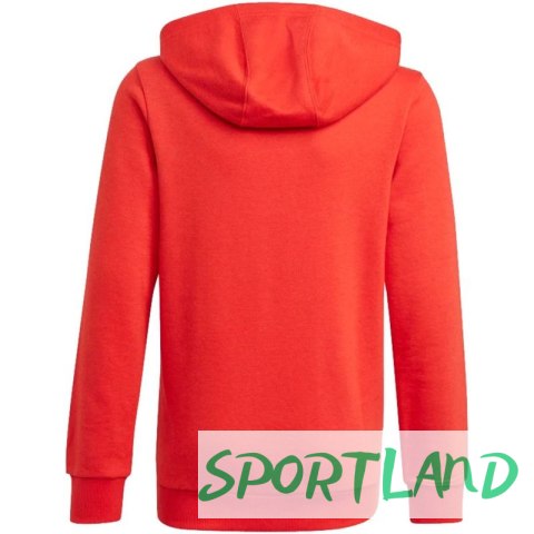 Bluza adidas Essentials Big Logo Hoodie Jr GN4037 128cm Bluza adidas Essentials Big Logo Hoodie Jr GN4037 128cm