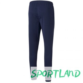 Spodnie Puma teamRISE Poly Training Pants M 657390 06 M