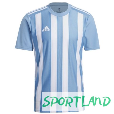 Koszulka adidas Striped 21 JSY M GN5845 S Koszulka adidas Striped 21 JSY M GN5845 S