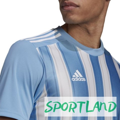 Koszulka adidas Striped 21 JSY M GN5845 S Koszulka adidas Striped 21 JSY M GN5845 S