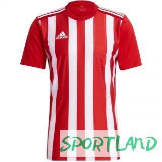 Koszulka adidas Striped 21 Jersey M GN7624 L