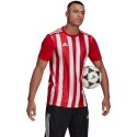 Koszulka adidas Striped 21 Jersey M GN7624 L
