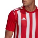 Koszulka adidas Striped 21 Jersey M GN7624 XL