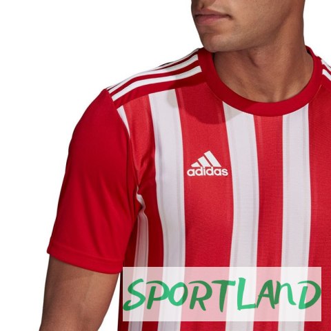 Koszulka adidas Striped 21 Jersey M GN7624 XL Koszulka adidas Striped 21 Jersey M GN7624 XL